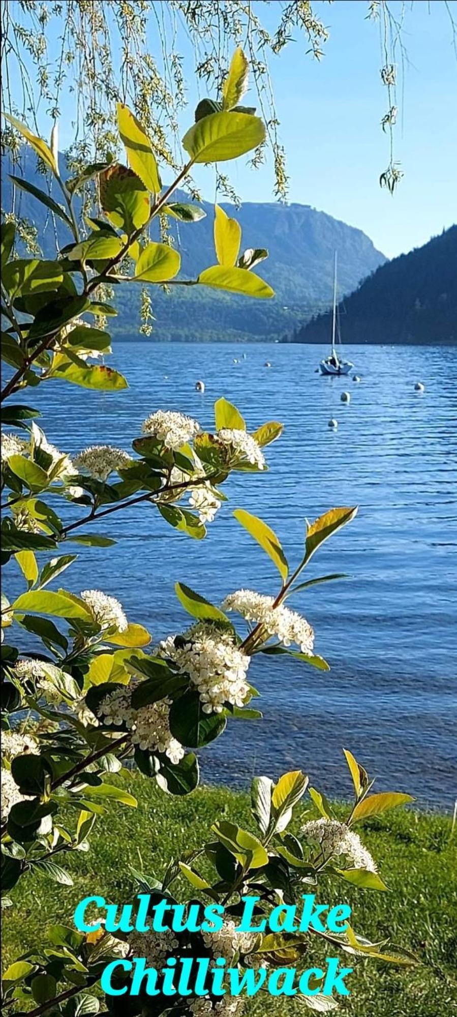 Private Suite 2Br Near Hwy 1, Heritage Park, Coliseum, Cultus Lake, Fishing, Chilliwack Room photo
